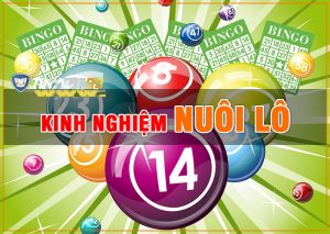 cầu chuẩn dự đoán víp giải 8 mn hôm nay