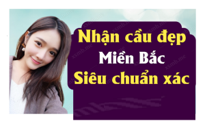 Dự đoán xổ số 14/12