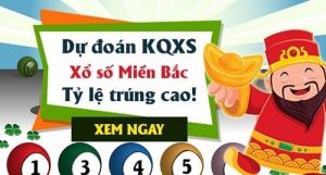 Dự đoán xsmb 13/11